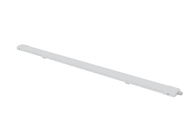 Excellent Heat Dissipation Industrial LED Tri-Proof Lighting IP65 Suspended 3 Years Guarantee