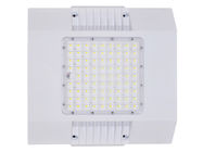 Explosion-proof 100W LED Canopy Lights for Gas Station