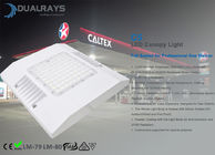 Explosion-proof 100W LED Canopy Lights for Gas Station