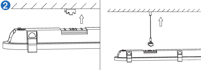 Dualrays D1 Series 40W 4ft Explosion Proof LED Lights 160LmW Waterproof