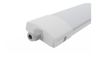 Meanwell Driver Vapor Proof LED Light Dualrays Liner 40W 160LPW Efficiency IP65
