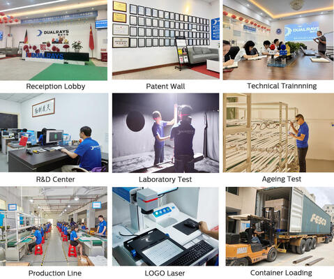 DUALRAYS Europe Warehouse LED Moisture-proof Light and LED Highbay Shipment Directly from Netherlands Within 3 Business Days and Local After-sales Service