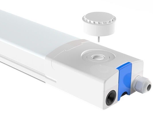 D4 LED Moisture-proof Lamp with Up to 160 LPW with Ready 4 Emergency SDCM<3 220~240VAC/ 50/60Hz, 180-264VDC Input Voltage