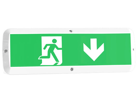 8W Bulk Head LED Porch Light with Emergency Function and Motion Sensor IP65