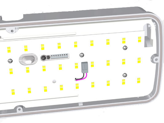 8W Bulk Head LED Porch Light with Emergency Function and Motion Sensor IP65