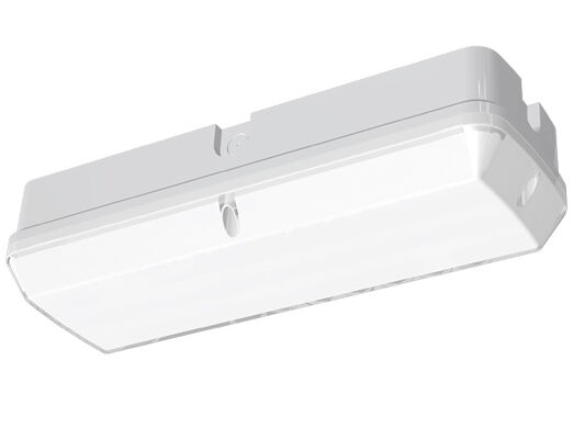 Bulk Head LED Porch Light 8W with 3CCT and Power Switchable with PIR Sensor with daylight threshold| Microwave Sensor with daylight threshold or daylight harvesting| Emergency Optional