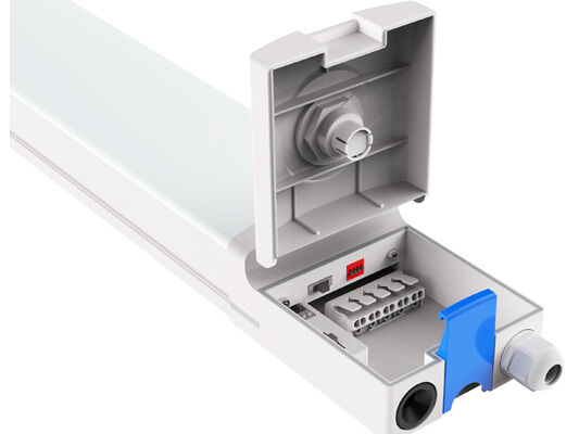 D4 LED Moisture-proof Lamp 160LPW with Ready 4 Emergency 4W@3HRS with DIP switch power & CCT,means 1SKU=48 SKU