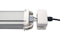 Dualrays D5 50W 5 ft Epistar Led Tri Proof Light IP66 IK10 LED Explosion Proof Lights 160lmw Efficiency