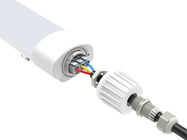 Full Plastic Housing LED Tri Proof Light IP66 IK10 20W 120 Or 160LPW Easy Wiring