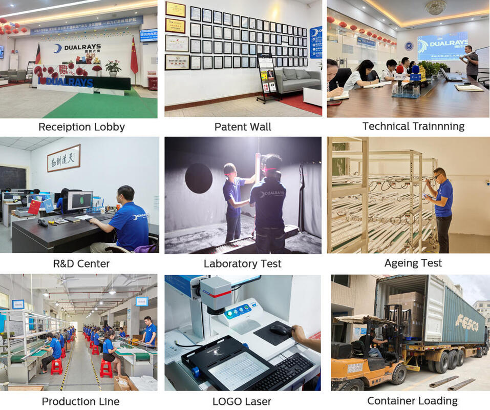 DUALRAYS Europe Warehouse LED Moisture-proof Light and LED Highbay Light Shipment Directly from Netherlands within 3 Business Days and Enjoy Local After-sales Service with Local Engineers